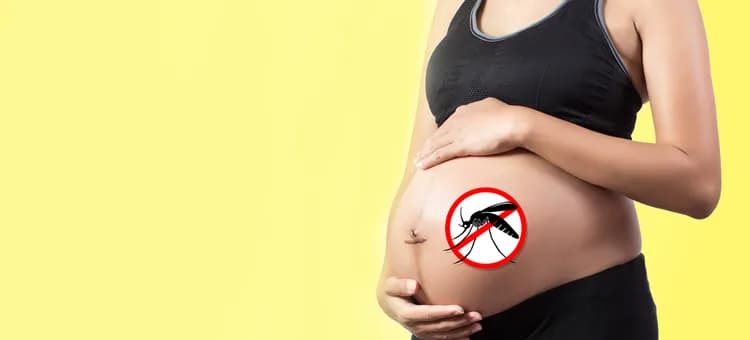 Bezpieczne metody na komary dla kobiet w ciąży – ochrona i ulga
