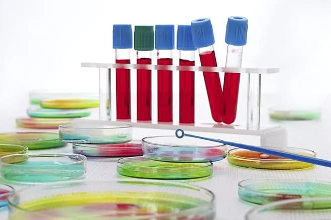 Jakie badania hormonalne dla kobiet warto wykonać dla zdrowia i równowagi?